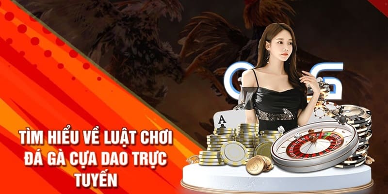 Đá Gà Cựa Dao - Hình Thức Chọi Kê Được Yêu Thích Nhất 2024 3 Luật chơi cơ bản một trận chiến cựa dao